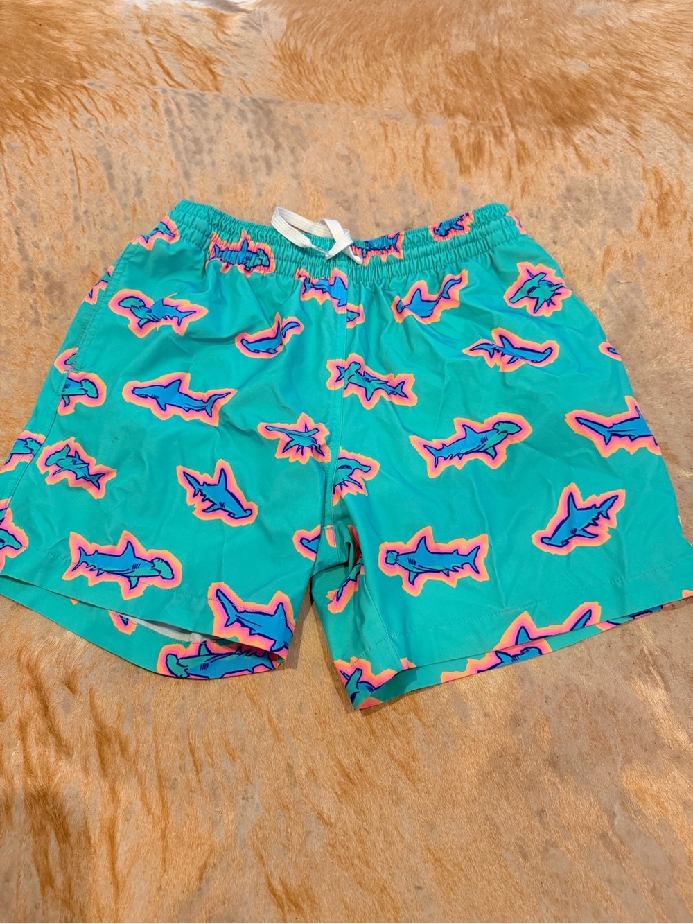 Men’s chubbies swim trunks